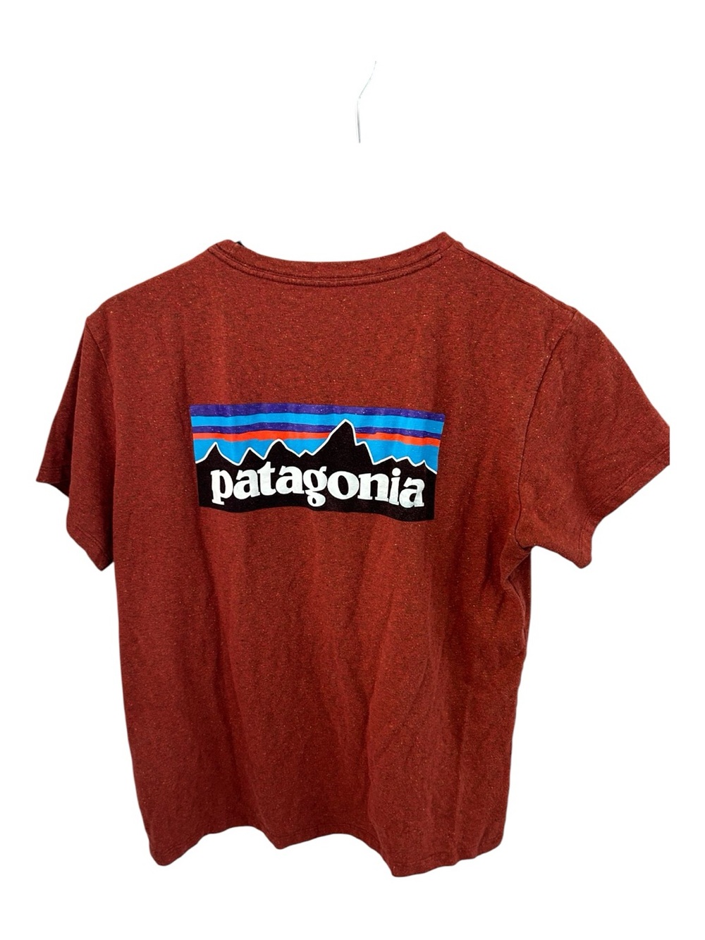 Patagonia Short-Sleeve Tee in Rust with Large Multicolor Back Graphic